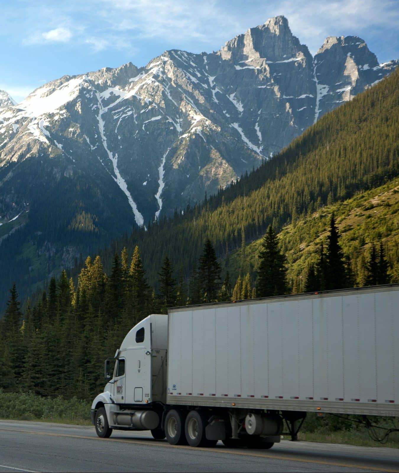 Partition Plus delivery van