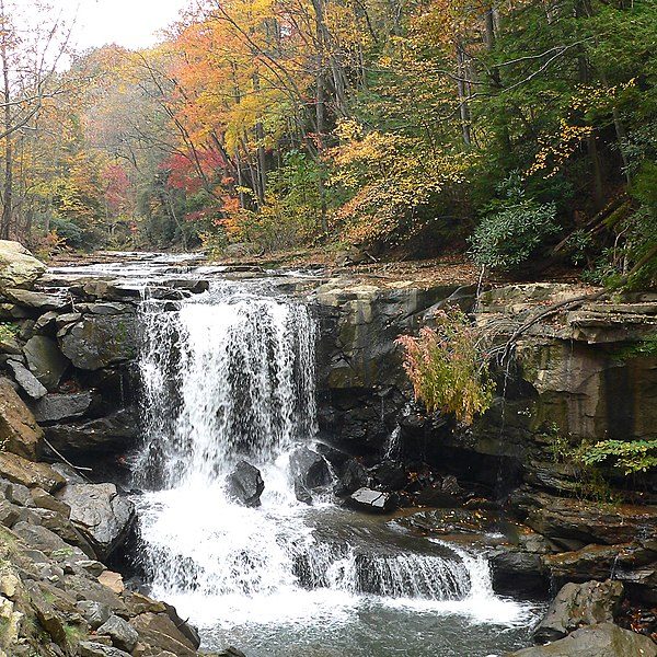 Purchase toilet partitions in West Virginia from Partition Plus for best available selection and pricing. Photograph of small rocky appalachian waterfall in autumn wooded area.