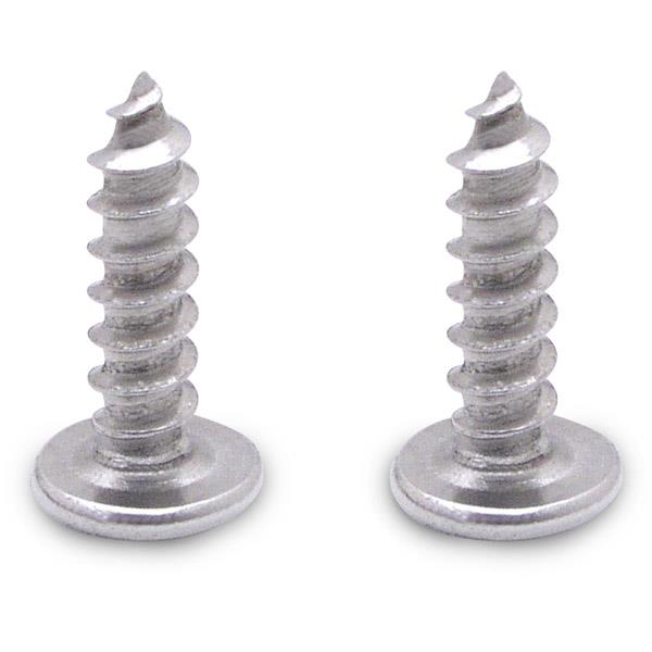 60109 SCREW PACK - HOOK OR DOOR STOP (6LP) STAINLESS
