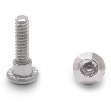 88249 SHOULDER SCREW 6-LOBE 10-24 X 3/4" STAINLESS