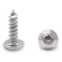 990090969 100 PACK (90969) 10 X 5/8" PAN 6-LOBE SCREW STAINLESS 990090969 100 PACK (90969) 10 X 5/8" PAN 6-LOBE SCREW STAINLESS