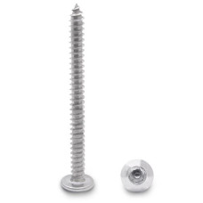 990091909 100 PACK (91909) 12 X 2-1/2" TRUSS TYPE-AB 6-LOBE SCREW STAINLESS 990091909 100 PACK (91909) 12 X 2-1/2" TRUSS TYPE-AB 6-LOBE SCREW STAINLESS