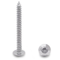 990091913 100 PACK (91913) 12 X 2" TRUSS TYPE-AB 6-LOBE SCREW-STEEL/CHROME 990091913 100 PACK (91913) 12 X 2" TRUSS TYPE-AB 6-LOBE SCREW-STEEL/CHROME