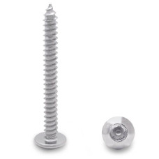 91913 12 X 2" TRUSS TYPE-AB 6-LOBE SCREW-STEEL/CHROME