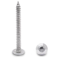 990091919 100 PACK (91919) 12 X 2" TRUSS TYPE-AB 6-LOBE SCREW STAINLESS 990091919 100 PACK (91919) 12 X 2" TRUSS TYPE-AB 6-LOBE SCREW STAINLESS