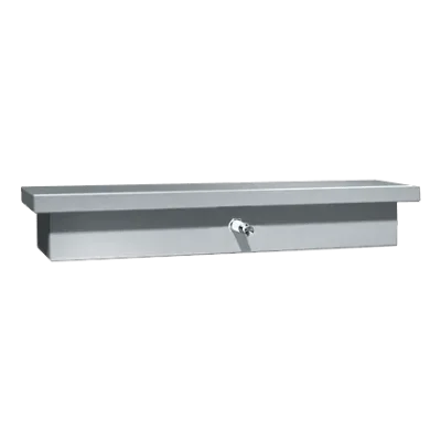 Photograph of ASI 0318 Liquid Soap Dispenser and Shelf